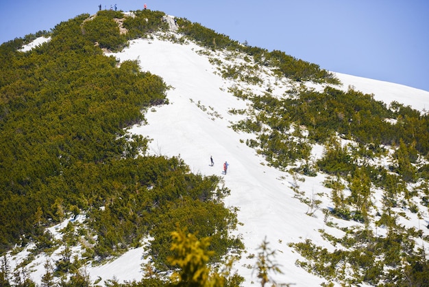 Bela vista das montanhas nevadas com céu azul, durante o dia ensolarado da primavera. Tatras ocidentais.