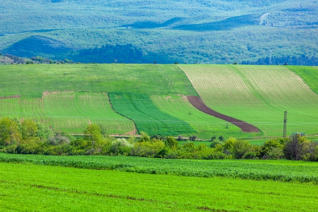 Foto bela vista de campos agrícolas, região de kartli, geórgia