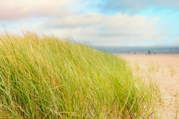 Bela vista de dunas e passarela de areia para a praia em Yorkshire UK