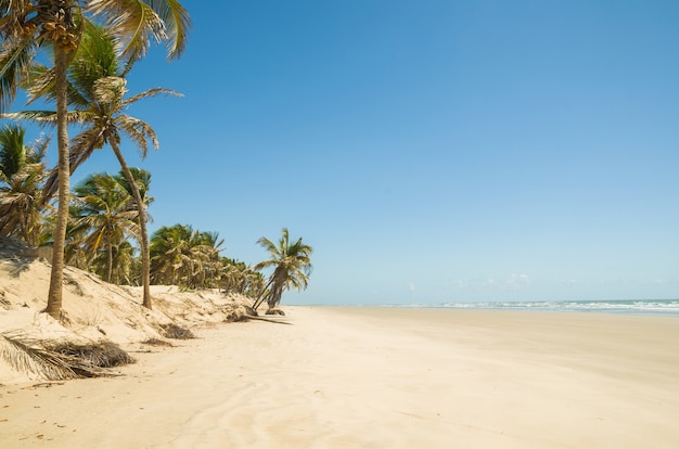Bela vista de Mangue Seco na Bahia, pequena praia de pescadores