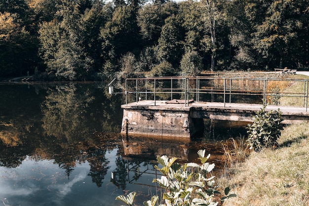 Bela vista de uma lagoa cercada por vegetação