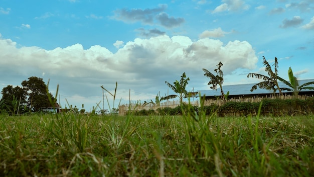 Bela vista do céu à tarde