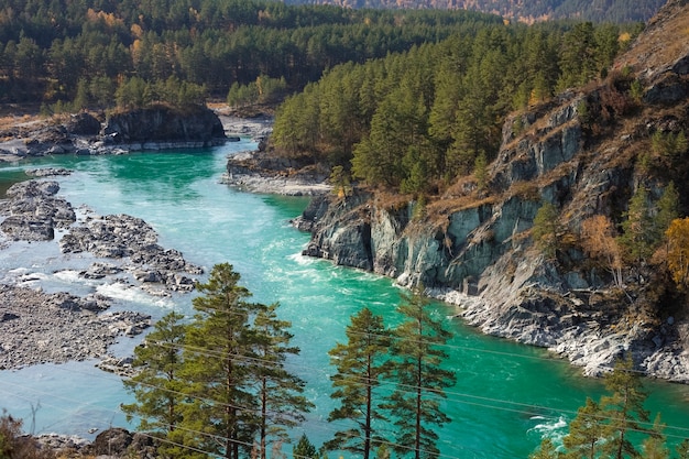 Bela vista do escuro rio turquesa katun nas montanhas rochosas de altai em um dia ensolarado. território de altai na sibéria