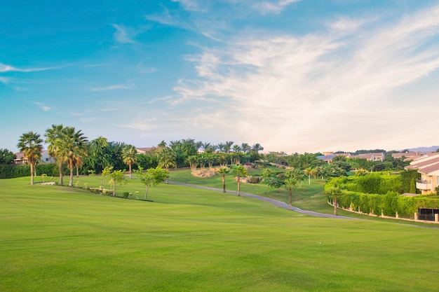 Bela vista do gramado verde em Sheikh Zayed, Egito