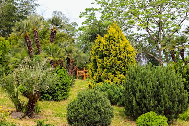 Bela vista do jardim botânico Batumi, Geórgia