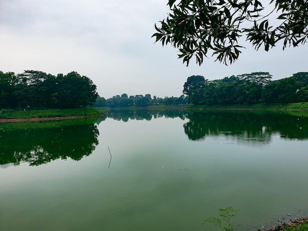 Bela vista do lago de manhã com árvores frondosas ao redor