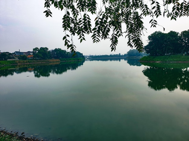 Bela vista do lago de manhã com árvores frondosas ao redor