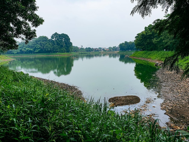 Bela vista do lago de manhã com árvores frondosas ao redor