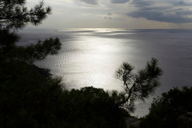 Foto bela vista do mar a partir de um quadro alto com pinheiros