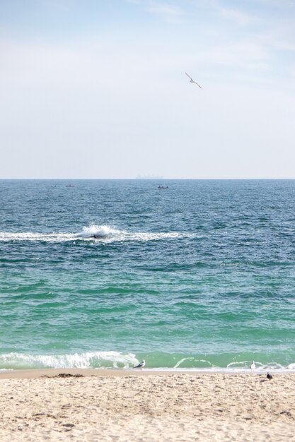 Bela vista do mar de verão com ondas, pássaros, pequenos barcos em um céu nublado.