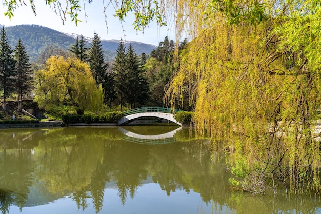 Bela vista do pequeno lago no parque da cidade de Dilijan na manhã ensolarada