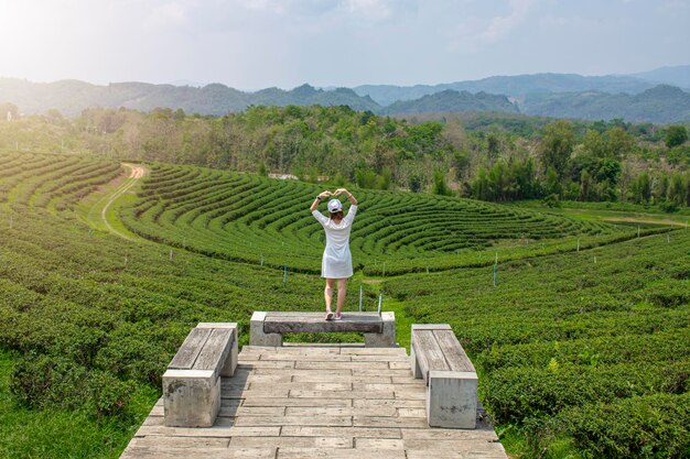 Bela vista do pôr do sol na montanha com uma garota na plantação de chá choui fong, norte da tailândia, chiang rai