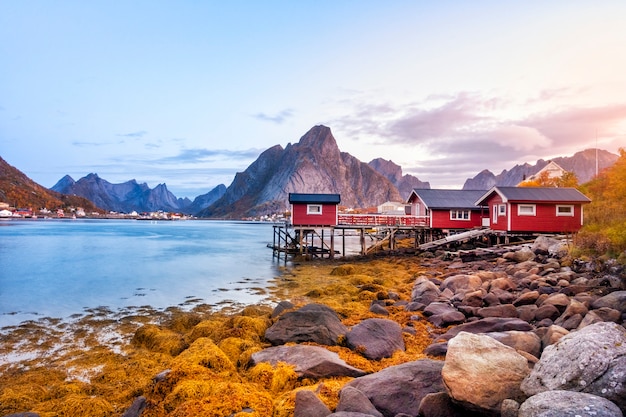 Bela vista do porto de Reine nas ilhas Lofoten, Noruega