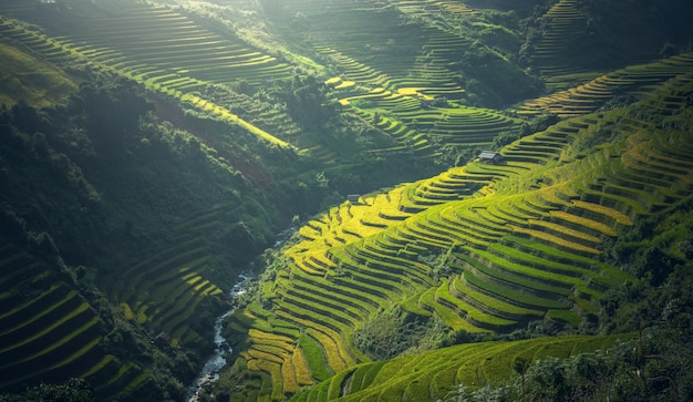 Bela vista do terraço de arroz em Mu Cang Chai, Vietnã