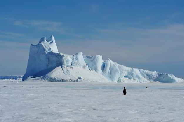 Foto bela vista dos icebergs snow hill antarctica