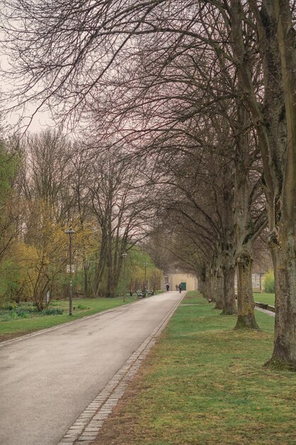 Bela vista em um dia ensolarado em um parque na alemanha ingolstadt