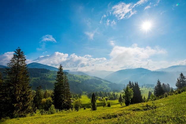 Bela vista mágica da floresta de abetos crescendo nas colinas e montanhas em um dia ensolarado de verão quente contra nuvens brancas e céu azul. conceito de trekking e viagens