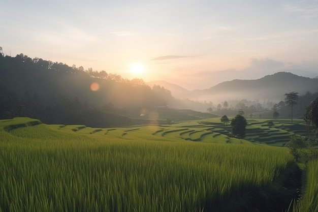 Bela vista matinal com nascer do sol e campos de arroz verdes e montanhas azuis