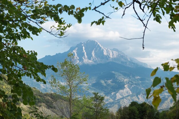 Bela vista panorâmica cênica de tirar o fôlego na paisagem de montanhas verdes em clima ensolarado de verão através do quadro de folhagemBeleza do conceito de natureza