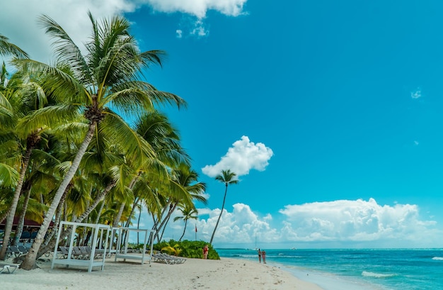 Bela vista panorâmica da praia do Caribe em Saona IslandsRepública Dominicana