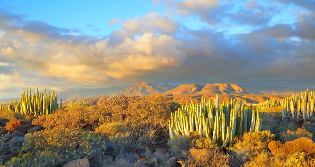 Bela vista panorâmica do deserto ao pôr do sol em Tenerife, Ilhas Canárias