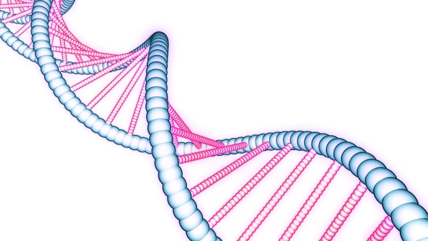 Belas animações de desenho de DNA colorido animação simples de cadeia de DNA rotativa DNA elegante