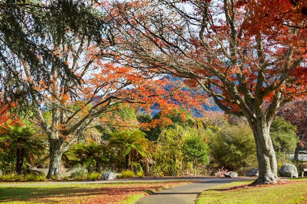 Belas árvores coloridas e lago no parque de outono, Nova Zelândia