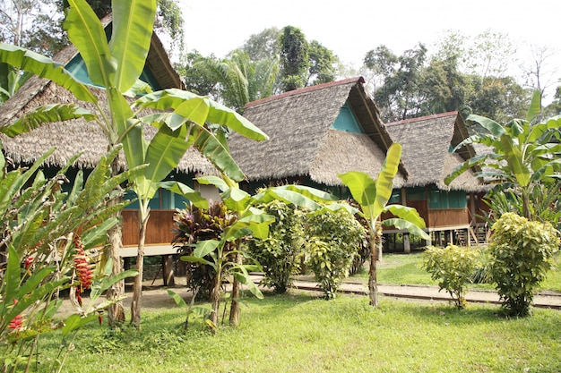 Belas cabanas na selva de Puerto Maldonado. Peru