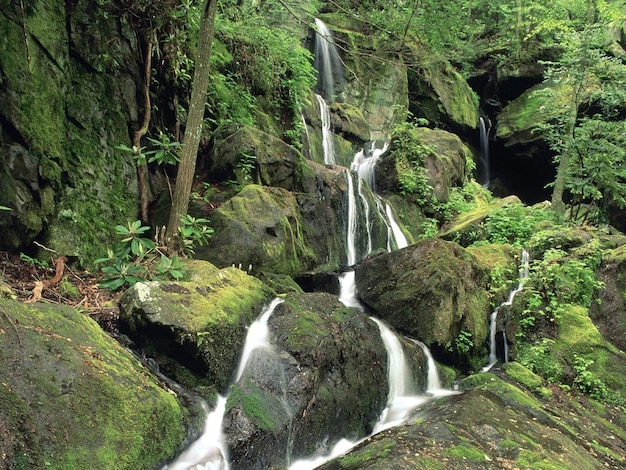 Belas Cataratas Naturais