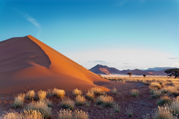 Belas dunas e natureza do deserto do Namibe, Sossusvlei, Namíbia, África do Sul