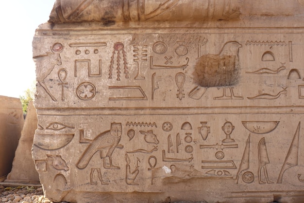 Foto belas esculturas no antigo templo egípcio de kom ombo em aswan