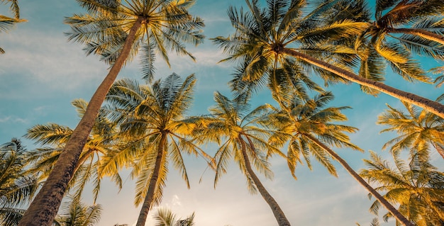 Belas férias e banner panorâmico de aventura de viagens de natureza. Vista mediterrânea tropical idílica