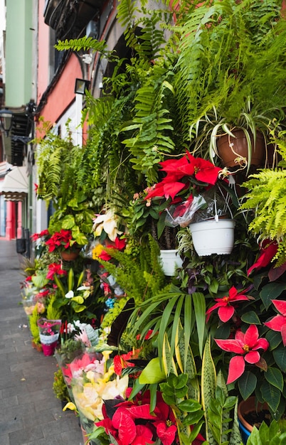 Belas flores frescas na florista.