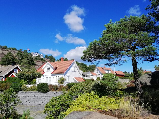 Belas fotos das casas da aldeia de Gjeving, na Noruega, com árvores e grama