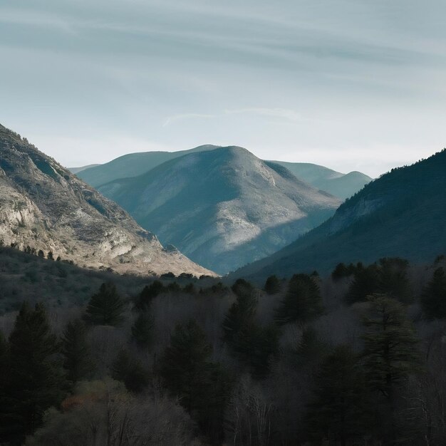 Foto belas imagens de paisagens verticais de montanhas e colinas cercadas de árvores sob um céu claro