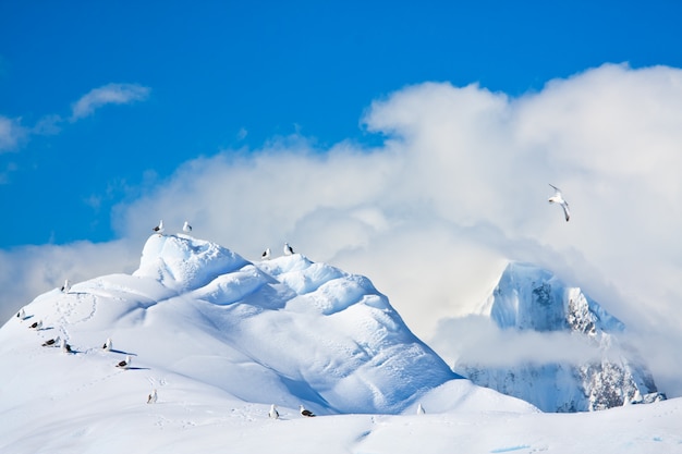 Belas montanhas cobertas de neve