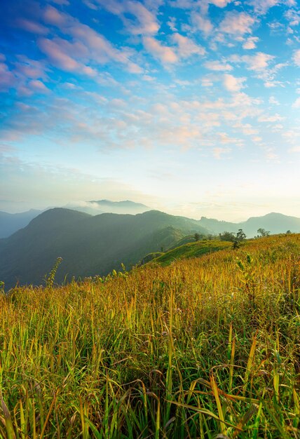 Belas montanhas e paisagens de céu