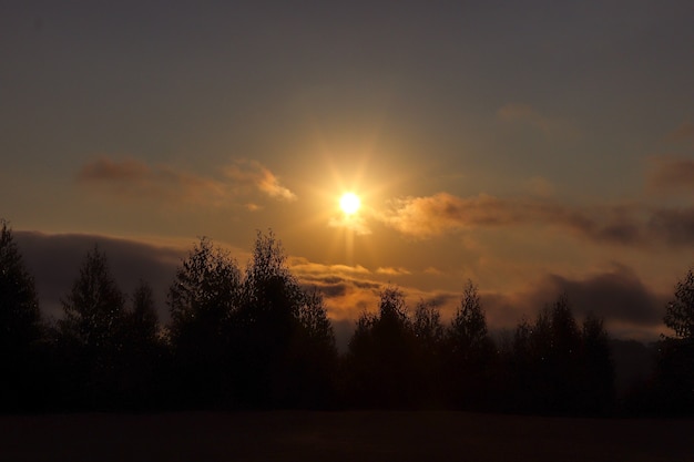 Belas montanhas e paisagens naturais, pôr do sol acima das nuvens, com o sol brilhando por entre as nuvens ao fundo e a silhueta dos pinheiros e da vegetação em primeiro plano.