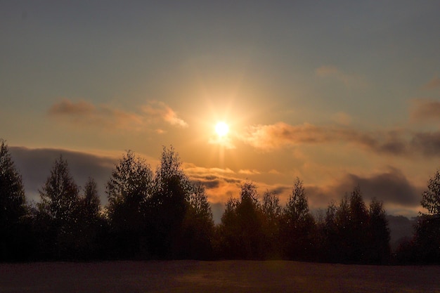 Belas montanhas e paisagens naturais, pôr do sol acima das nuvens, com o sol brilhando por entre as nuvens ao fundo e a silhueta dos pinheiros e da vegetação em primeiro plano.