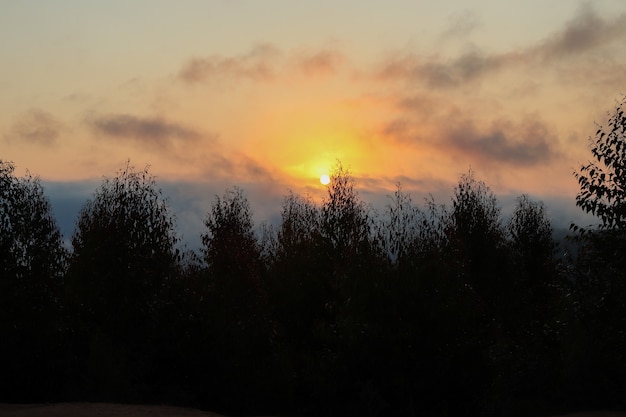 Belas montanhas e paisagens naturais, pôr do sol acima das nuvens, com o sol brilhando por entre as nuvens ao fundo e a silhueta dos pinheiros e da vegetação em primeiro plano.