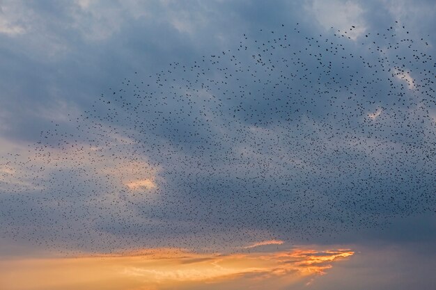 Belas nuvens dramáticas atmosféricas à noite ao pôr do sol.