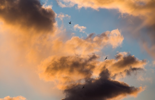 Belas nuvens magníficas ao pôr do sol no céu