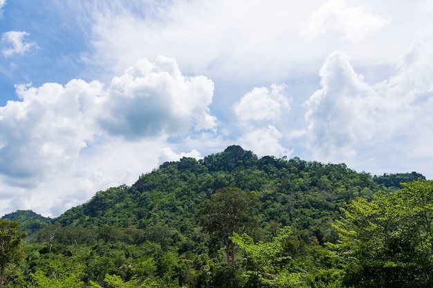 Belas nuvens sobre as montanhas na floresta