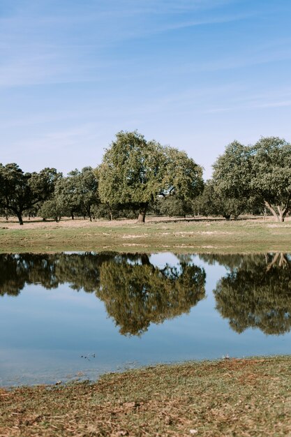 Belas paisagens das margens de um rio