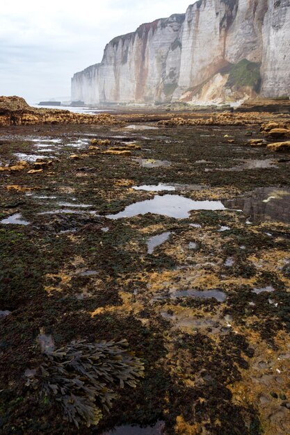 Belas paisagens de Etretat