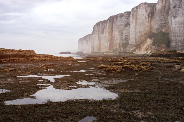 Belas paisagens de Etretat