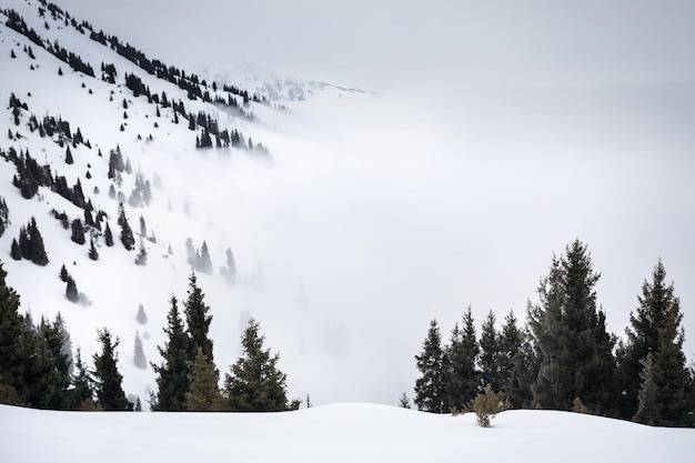 Belas paisagens de inverno