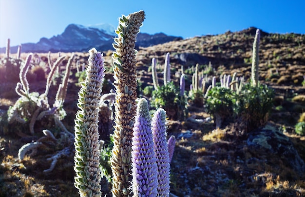 Belas paisagens de montanhas na Cordilheira Huayhuash, Peru, América do Sul