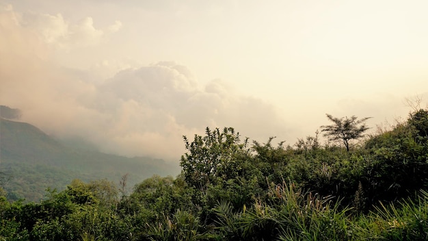 Belas paisagens de Ooty Mountains com cobertura verde em rochas e céu nublado claro