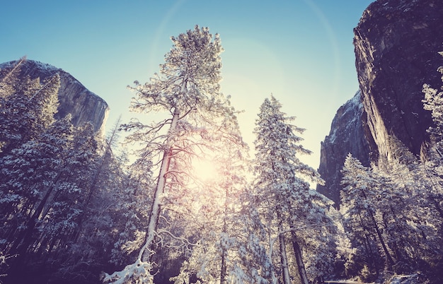 Belas paisagens do início da primavera no parque nacional de yosemite, yosemite, eua